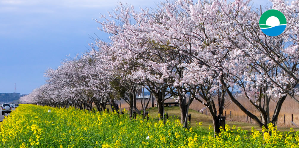 鉾田市の風景04